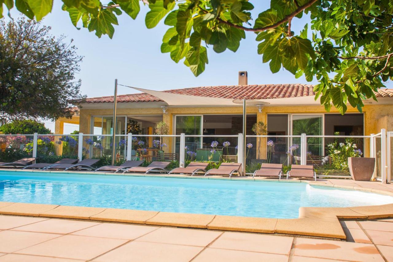 Maison Kiwi Avec Piscine Chauffee Terrasse Jardin Et Bbq A Calvi Calvi  Exterior photo